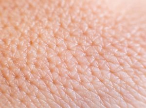 "Pore Refining
